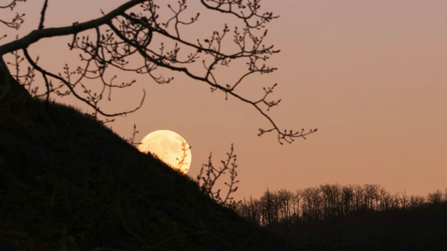 日落时的月亮升起时间视频下载