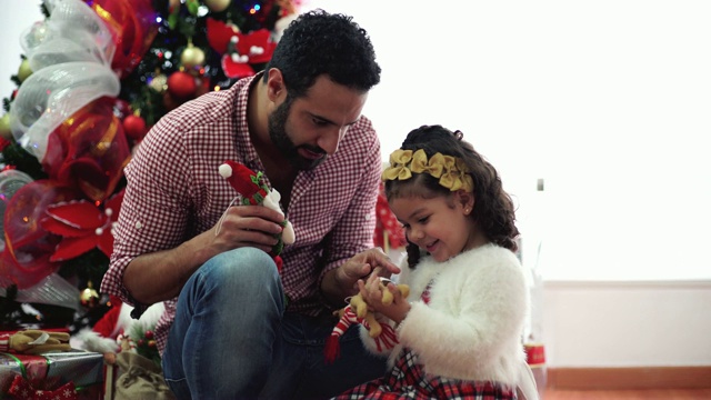 爸爸和女儿在圣诞树上视频素材