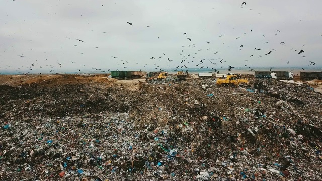 慢镜头鸟瞰图-成千上万的黑鸢(Milvus移民)在一个巨大的垃圾堆上觅食，而重型车辆和垃圾车带来了更多的垃圾/杜达伊姆垃圾场，以色列南部视频素材