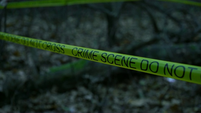 森林中黄色犯罪现场的特写，法医专家在现场工作视频素材