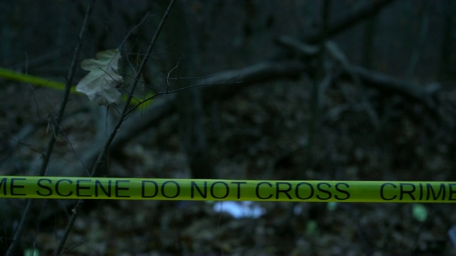 树林里的犯罪现场，谋杀现场，法医收集证据视频素材