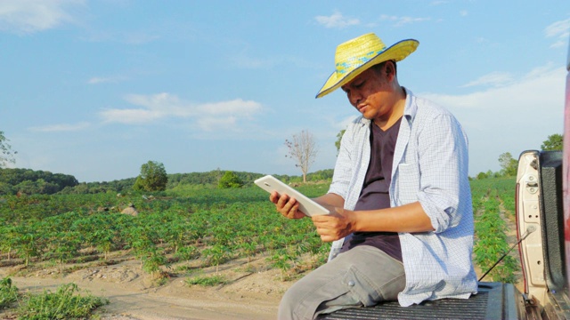 4K:农民使用数字平板在木薯地里进行质量检查视频素材