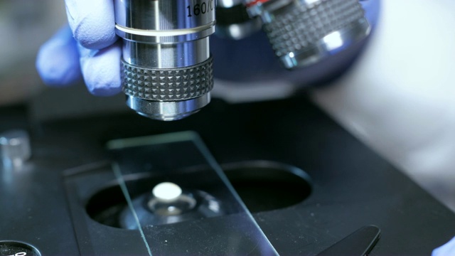 科学家在实验室用微型吸管将试管中的液体加到玻片上的特写镜头。手戴蓝色橡胶手套，使用吸管显微镜在实验室研究样品。DNA。视频购买