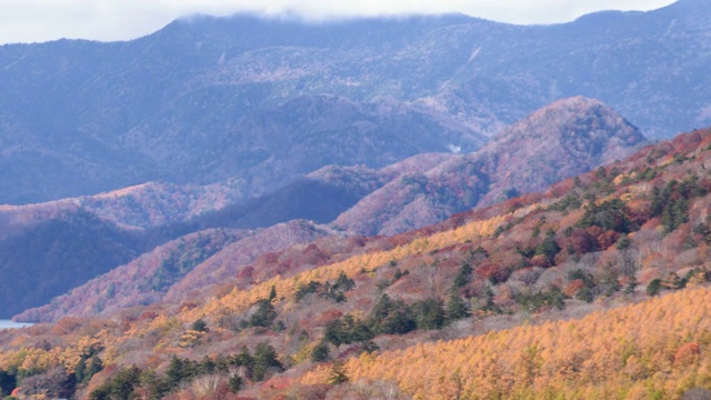树叶山在秋天的时间流逝视频素材