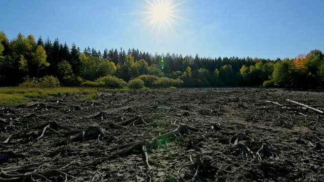干涸的森林湖与阳光在秋天，Mülbener看到，瓦尔德布伦，Baden-Württemberg，德国视频下载