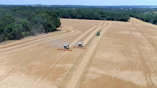 联合收割机在小麦收获期间工作视频素材
