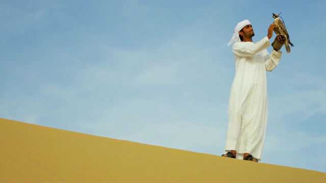 训练戴兜帽的猎鹰在阿拉伯男性戴手套的手腕视频素材