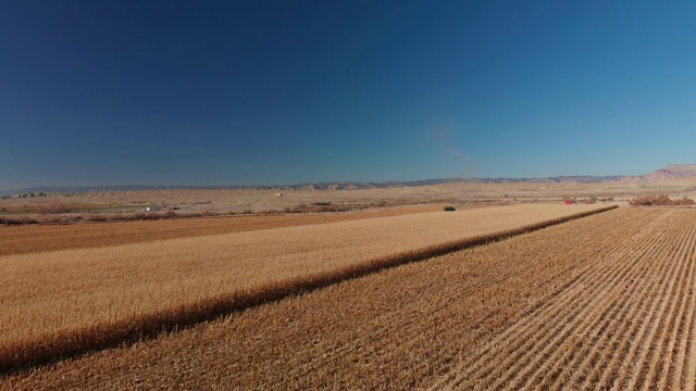 卡车前进/滑动无人机拍摄的联合收割机在晴朗的蓝天下通过一片收获的玉米田视频素材