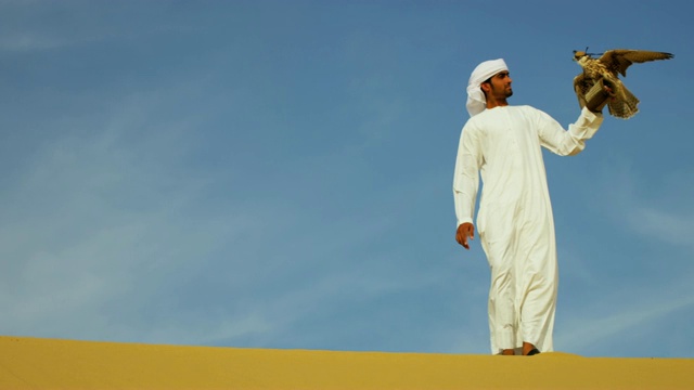 训练有素的猎鹰平衡阿拉伯人手套沙漠沙丘视频下载