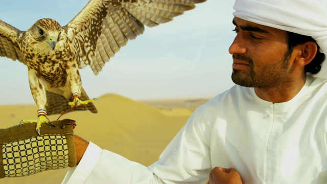 阿拉伯男性传统服饰展示训练游隼视频素材