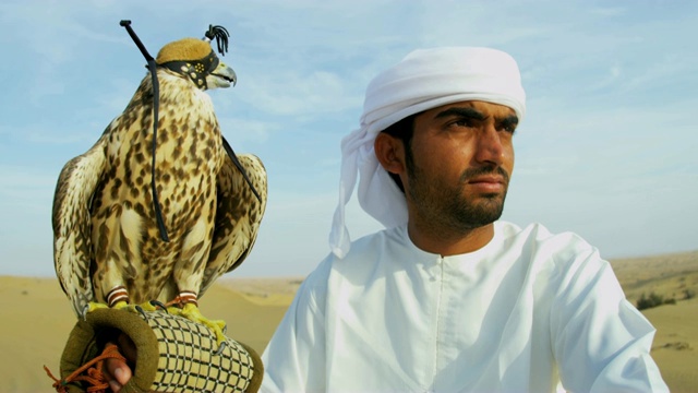 拴在阿拉伯猎鹰腕上的猛禽视频素材