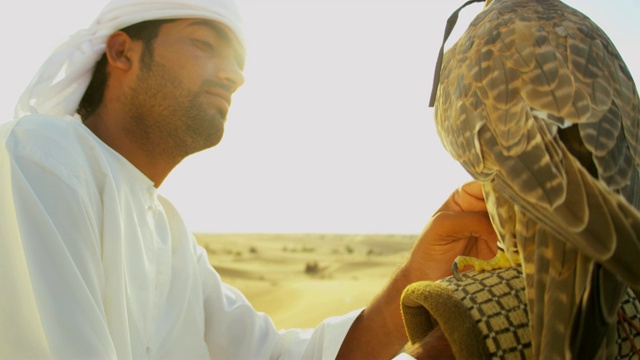 一名阿拉伯男子展示训练有素的猎鹰沙漠位置视频素材