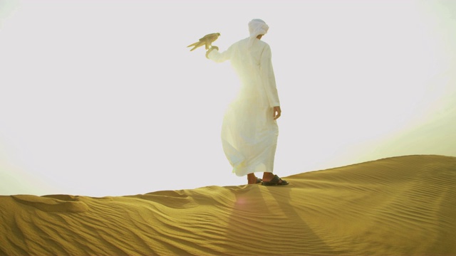 中东男性传统服饰与训练有素的猎鹰视频素材