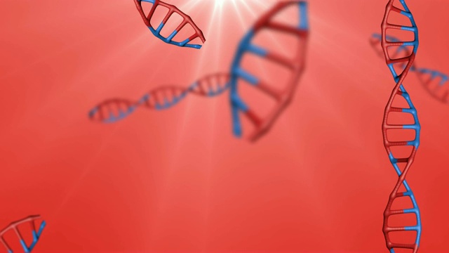 DNA序列:两种DNA结合视频下载