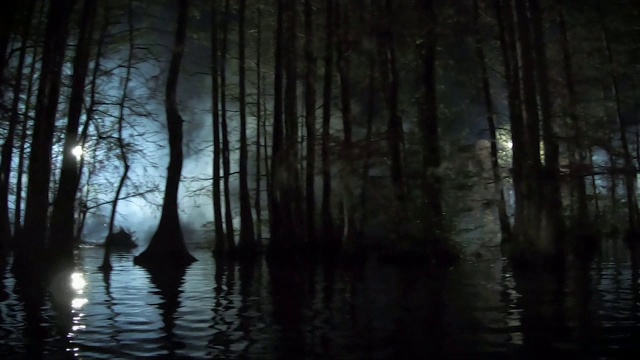沼泽的迷雾之夜视频素材