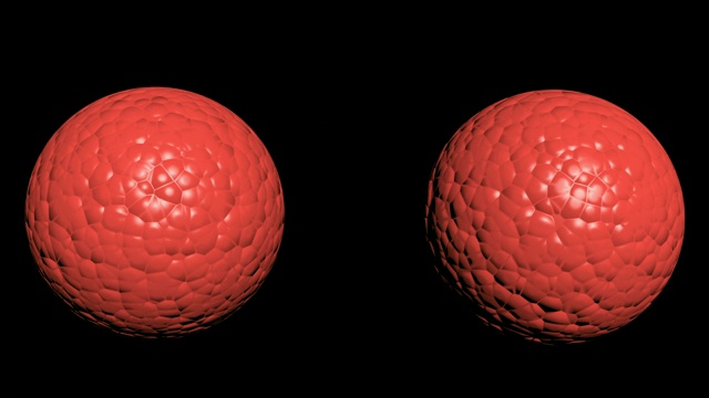 显微镜下体外胎儿的红细胞分裂，普通细胞分裂，干细胞视频素材