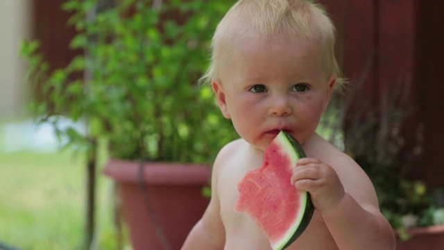 可爱的学步小孩，小男孩，在花园里吃着成熟的西瓜，美味的水果视频素材