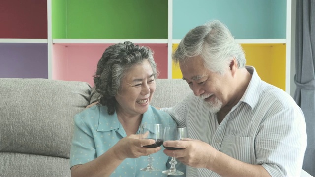 老夫妇坐在客厅一起喝红酒。视频素材