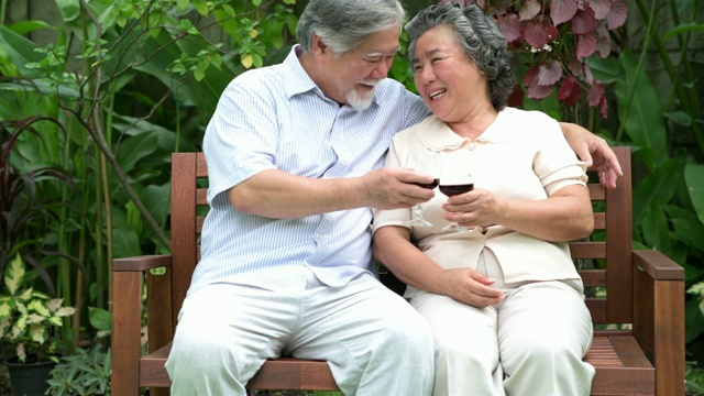 老两口坐在家里的花园里一起喝红酒。视频素材