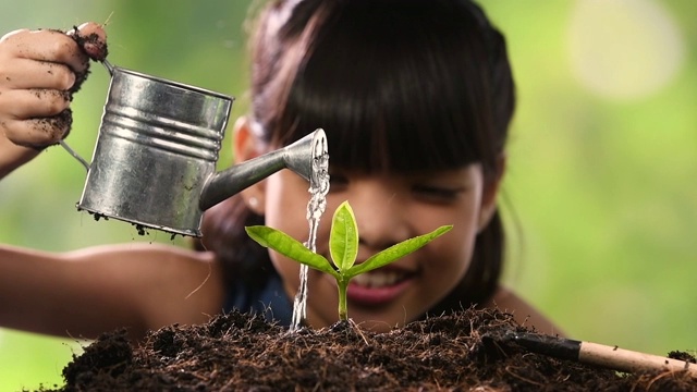 小女孩给植物浇水-慢镜头视频素材
