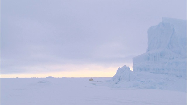 北极白雪覆盖的地面上的一座冰山和一只北极熊视频下载
