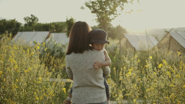 夏天，亚洲家庭在田野里散步。视频素材