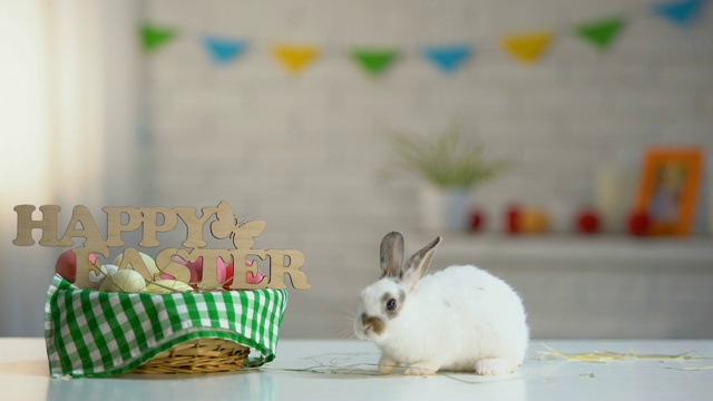可爱的兔子移动在桌子上的节日篮子与快乐复活节标志，象征视频下载