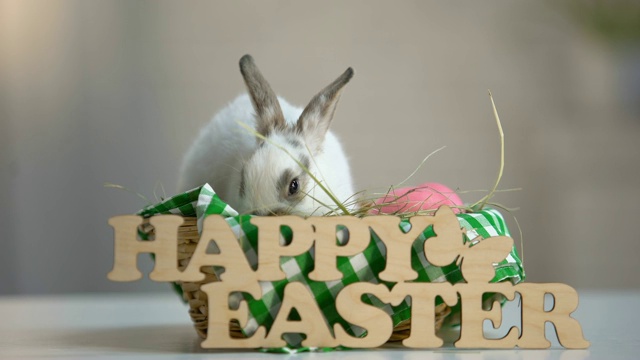 复活节快乐木制标志与可爱的兔子在篮子里，庆祝春节视频下载