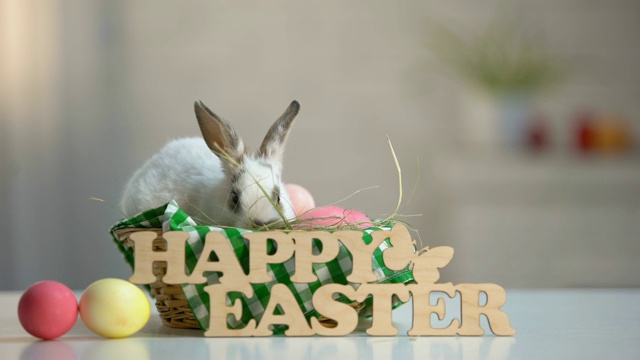 木制的标志，快乐的复活节和彩色的鸡蛋在桌子上，可爱的兔子在篮子里视频下载