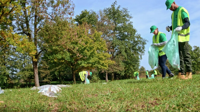 在当地的清理活动中，人们捡起散落在阳光明媚的草地上的垃圾视频下载