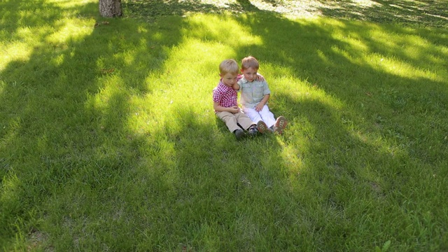 两个快乐的五岁男孩的肖像在公园的绿色草地上。视频素材