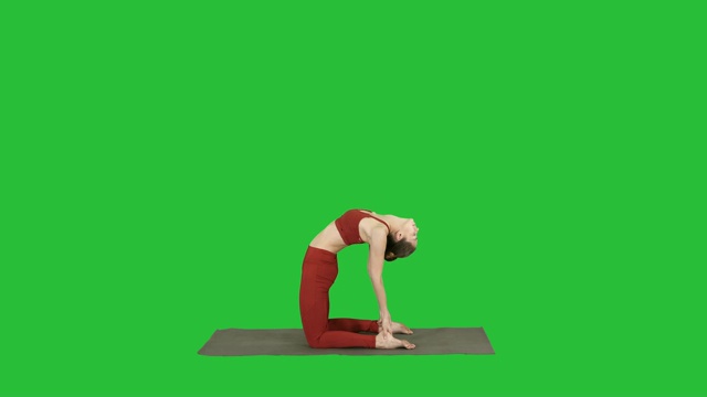 运动美丽的年轻女子练习瑜伽，做乌什特拉式，骆驼姿势在一个绿色屏幕，色度键视频素材