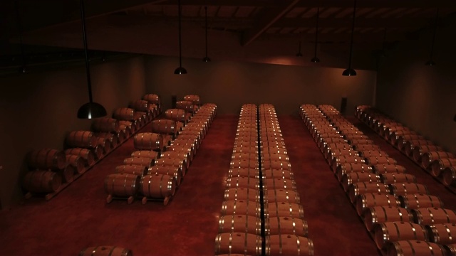 鸟瞰图酒窖中的酒桶，波尔多葡萄园，法国视频素材
