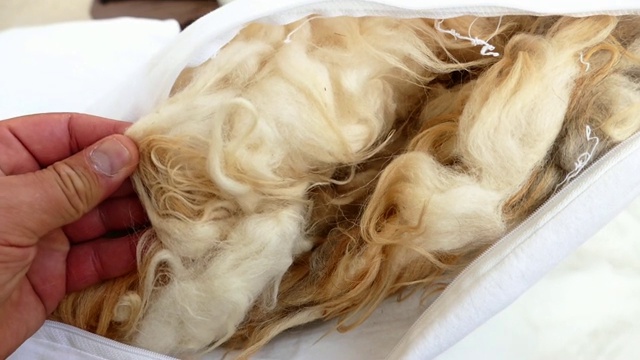 洗过的羊毛，制作枕头和羽绒被的羊毛，洗过的羊毛，视频素材