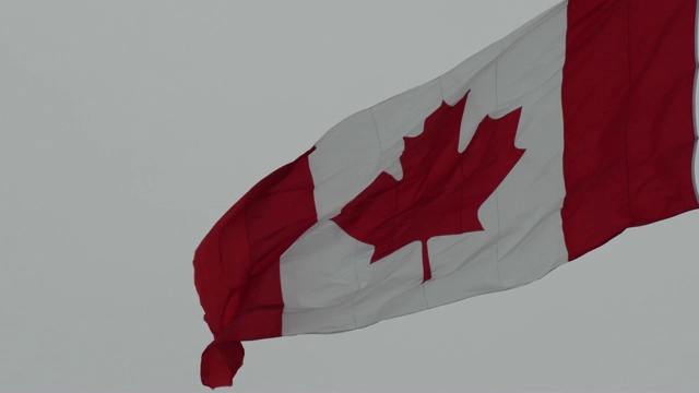 加拿大的国旗在冬季高高飘扬在加拿大的首都视频素材