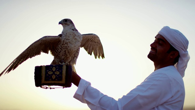 阿拉伯男主人手套上拴着的猎鹰视频素材