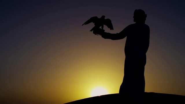 日落剪影猎鹰在男性阿拉伯主人的手套视频素材