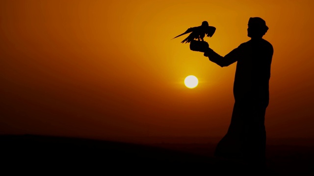 猎鹰拴在阿拉伯男性主人日落剪影视频素材