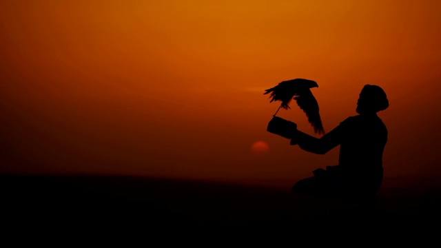 拴在猎鹰上的阿拉伯主人手套日落剪影视频下载