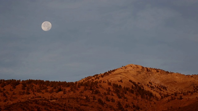 长焦镜头拍摄满月升起在金色的光覆盖的山在日出。视频素材