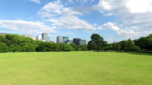 东京的日本公园视频下载