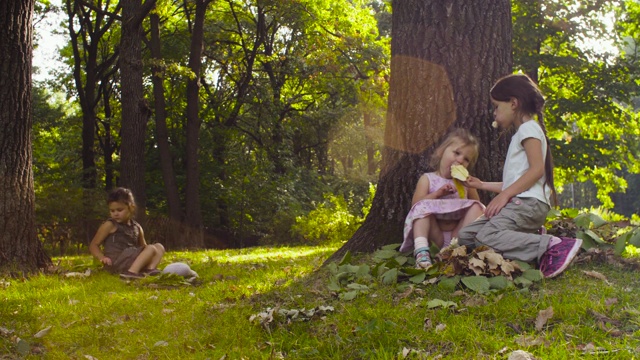 三个女孩坐在公园的草地上，树木之间视频素材