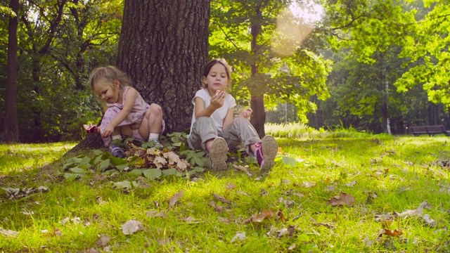 三个女孩坐在公园里吃着石榴视频素材