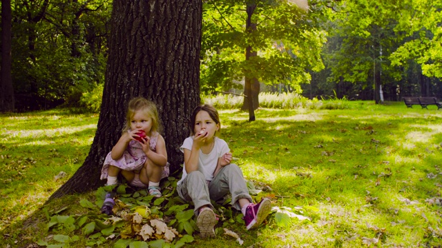 三个女孩坐在公园里吃着石榴视频素材