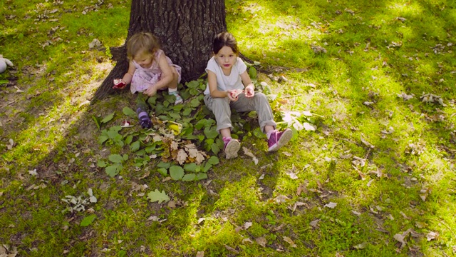 两个女孩坐在公园里吃着石榴视频素材