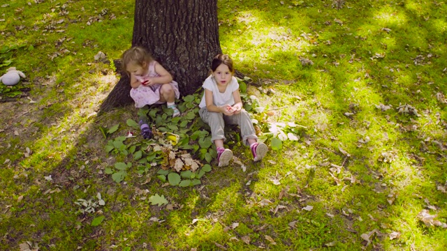 两个女孩坐在公园里吃着石榴视频素材