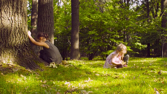 三个女孩在公园里的树旁的草地上玩耍视频素材