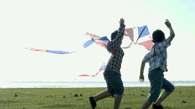 快乐的两个小男孩带着风筝在草地上奔跑，在夏日阳光明媚的大自然中。慢动作视频素材