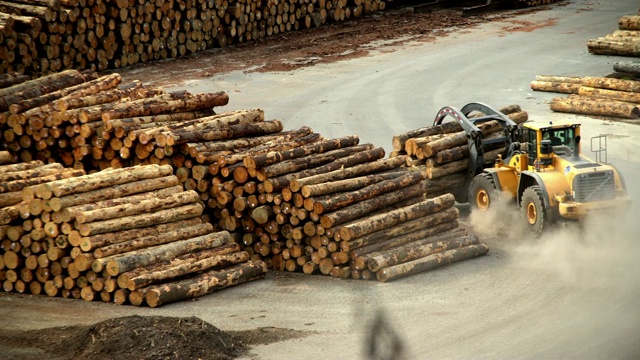 在砍伐森林的木材场的机械抓斗新西兰皮克顿视频下载