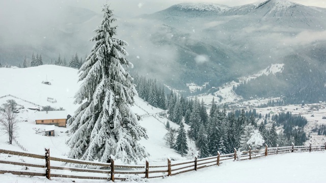 冬天的山。农村景观。树被雪覆盖着。新年快乐。冬天的故事。视频下载
